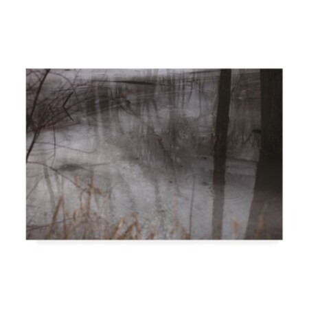 Kurt Shaffer Photographs 'Water And Ice Reflections' Canvas Art,22x32